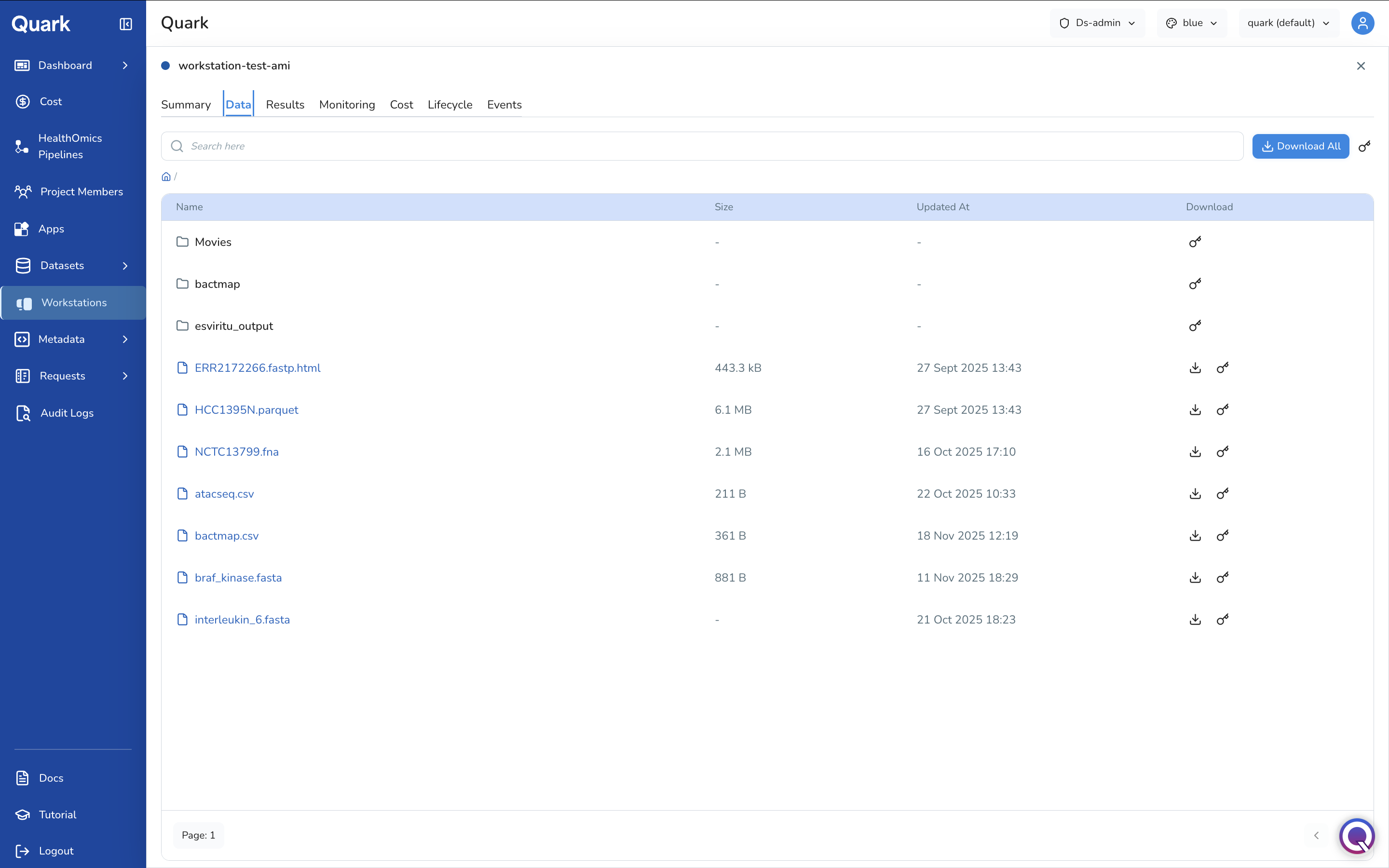 Screenshot: Workstation Data tab showing a file and folder listing with Name, Size, Updated At, and Download columns
