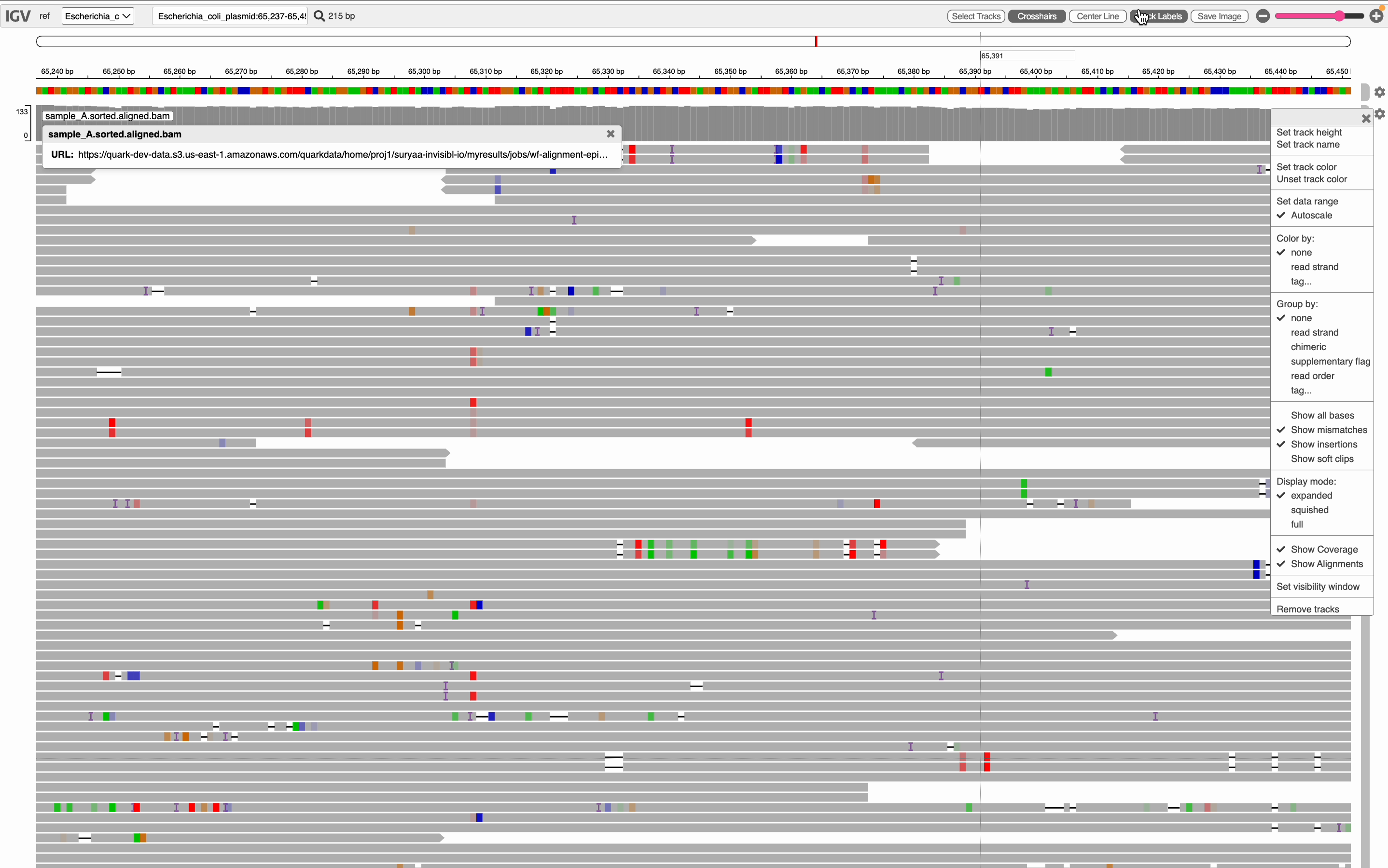 Reference genome selector in IGV with options displayed