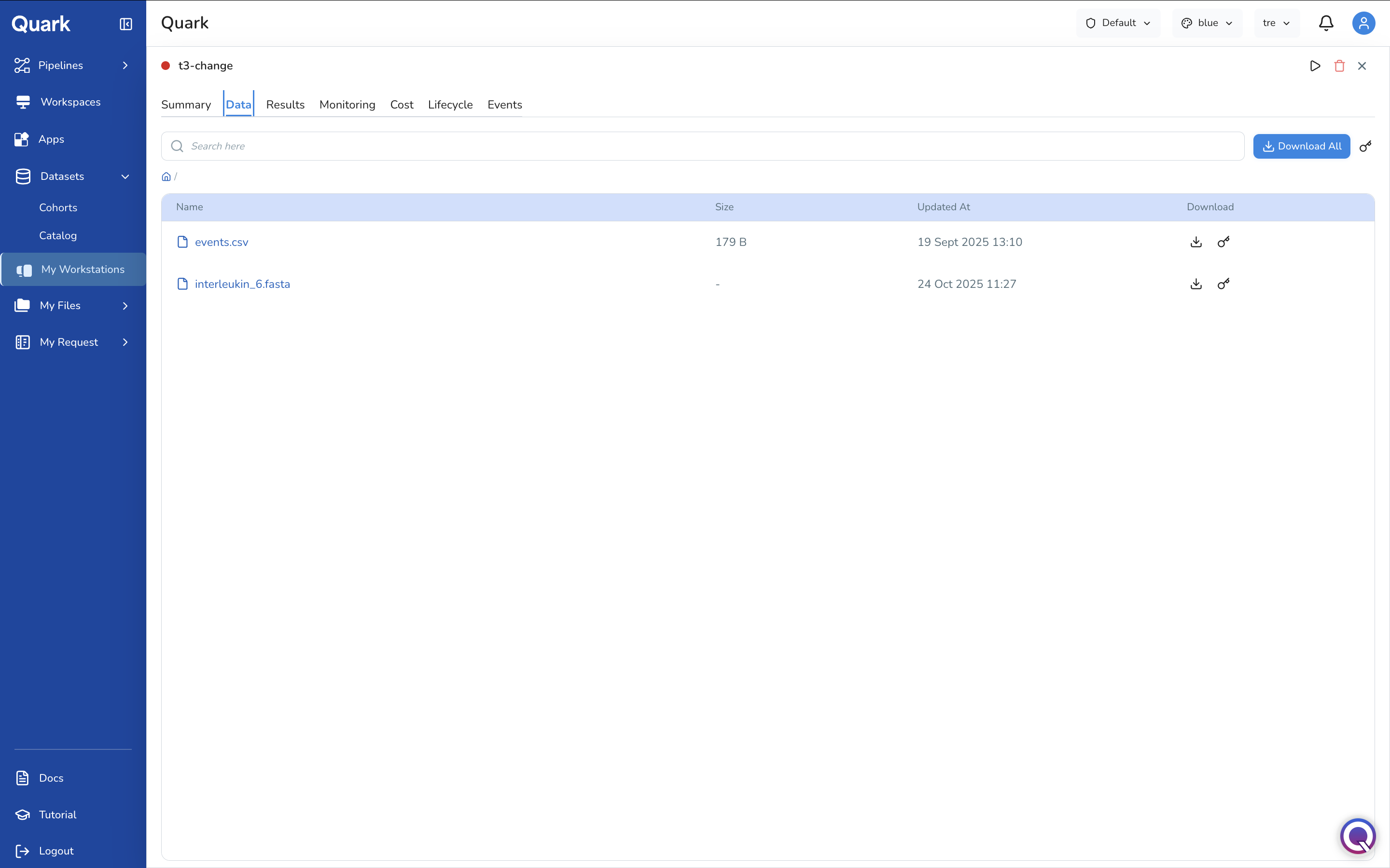 Screenshot: Workstation Data tab