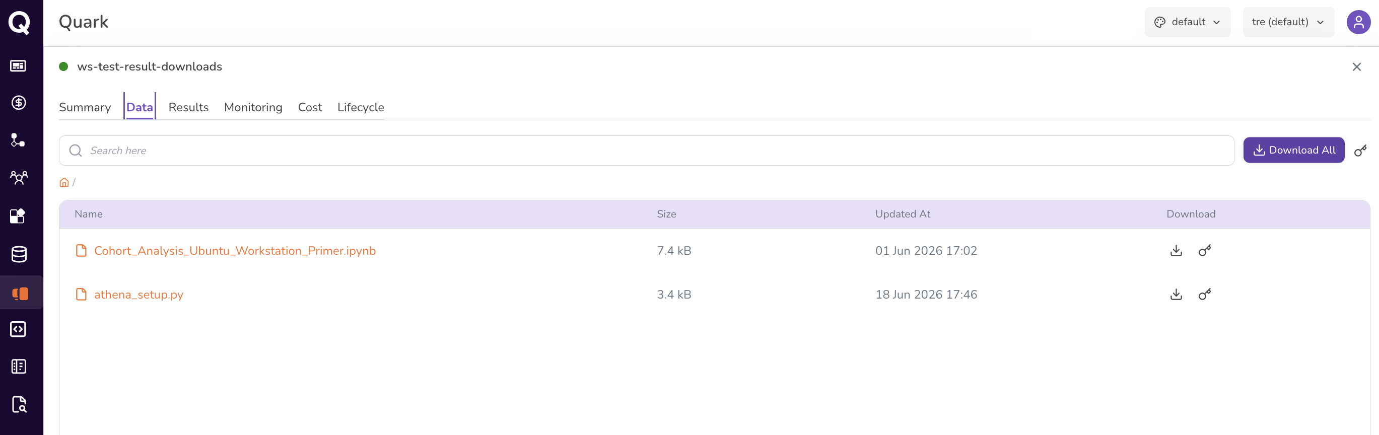Screenshot: Workstation Data tab showing a file and folder listing with Name, Size, Updated At, and Download columns