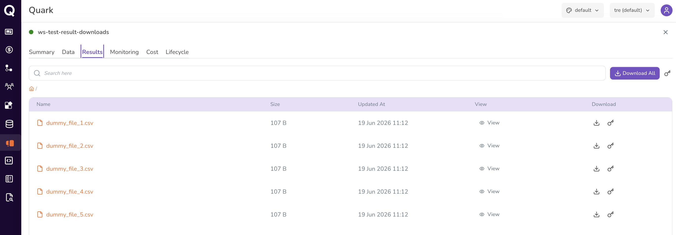 Screenshot: Workstation Results tab
