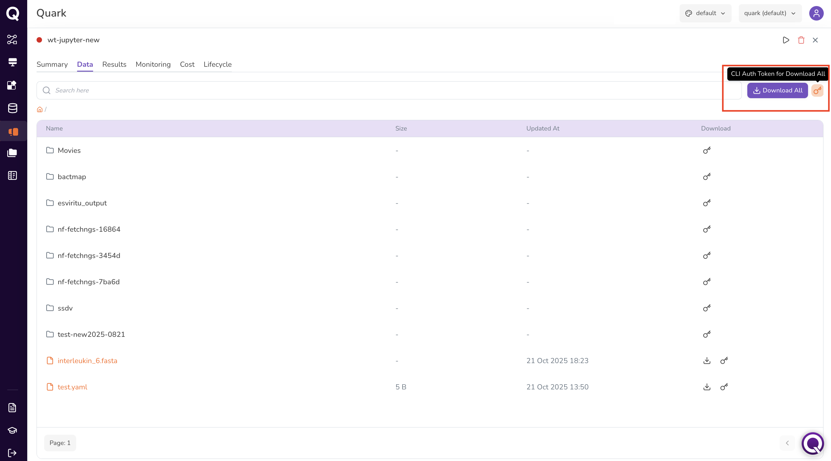 WS Data tab