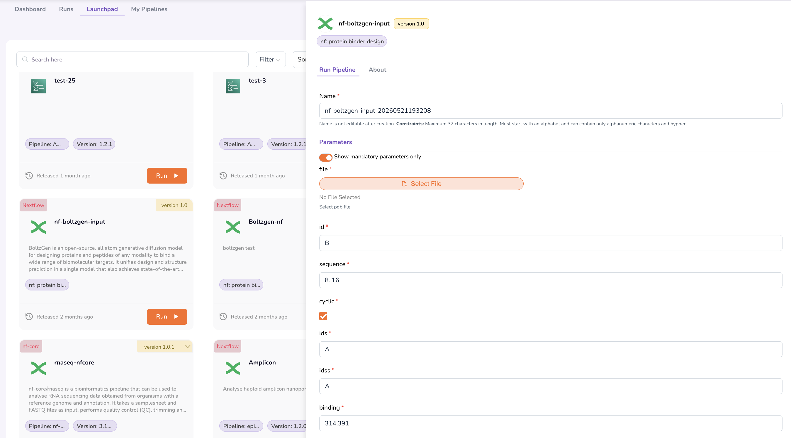Pipeline Run configuration with input parameters