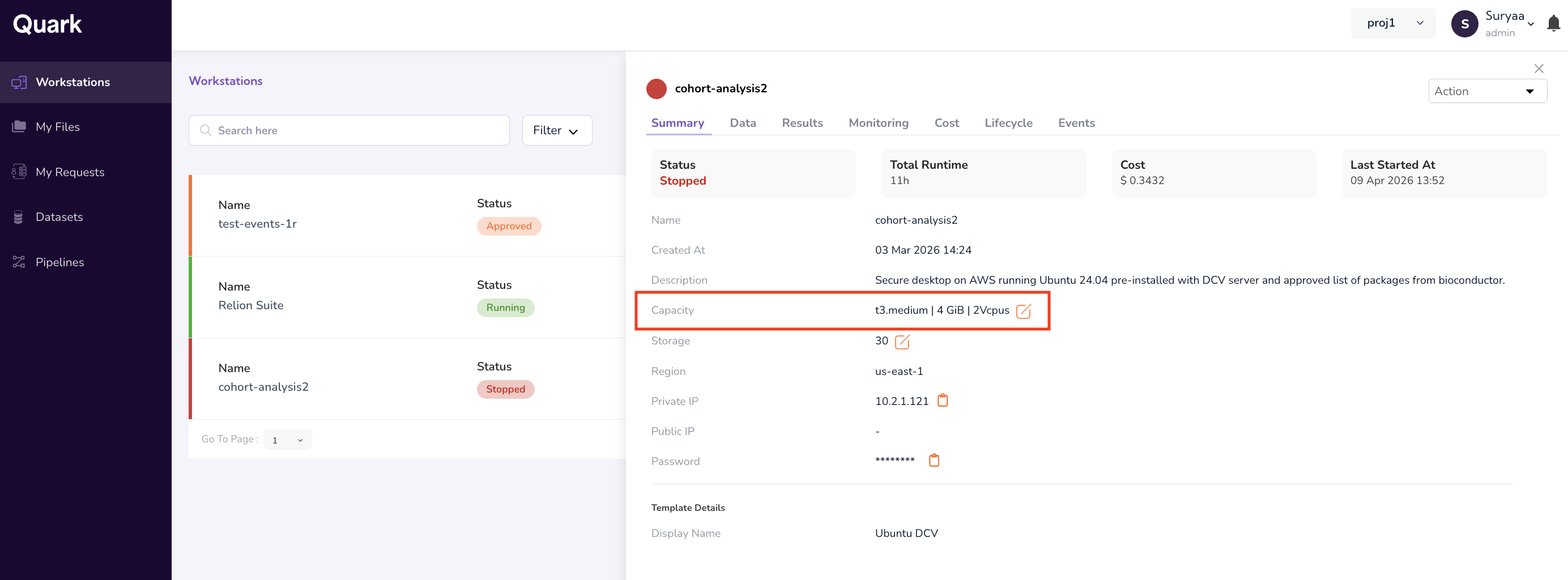 Workstation summary pane showing instance